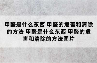 甲醛是什么东西 甲醛的危害和清除的方法 甲醛是什么东西 甲醛的危害和清除的方法图片